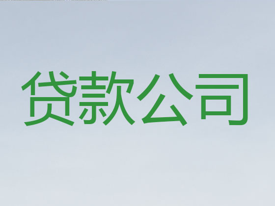 南昌抵押贷款公司-信用贷款